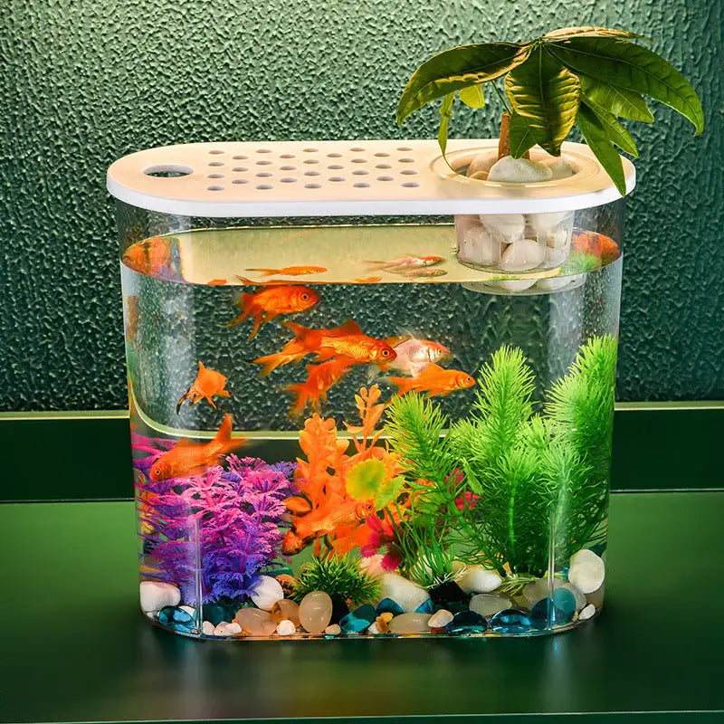 Acrylic Transparent Ecological Incubator Goldfish Tank - Lootquake