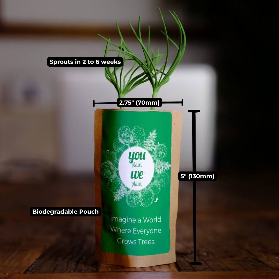 Tree Pouch Custom Branding-1