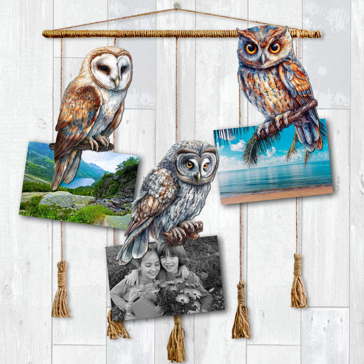 Night Owls Decorative Wooden Clip-on Ornaments Set of 3 by G. Debrekht - Wildlife Decor - 8091004C-S3