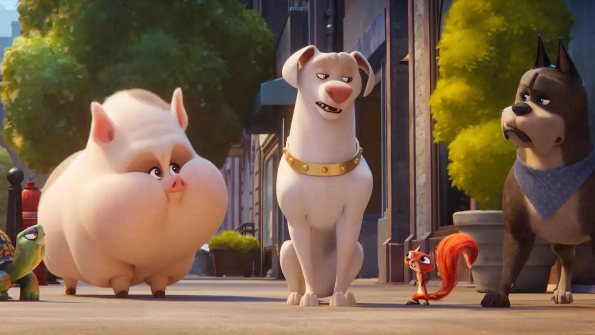 DC League of Super-Pets (DVD) - Lootquake