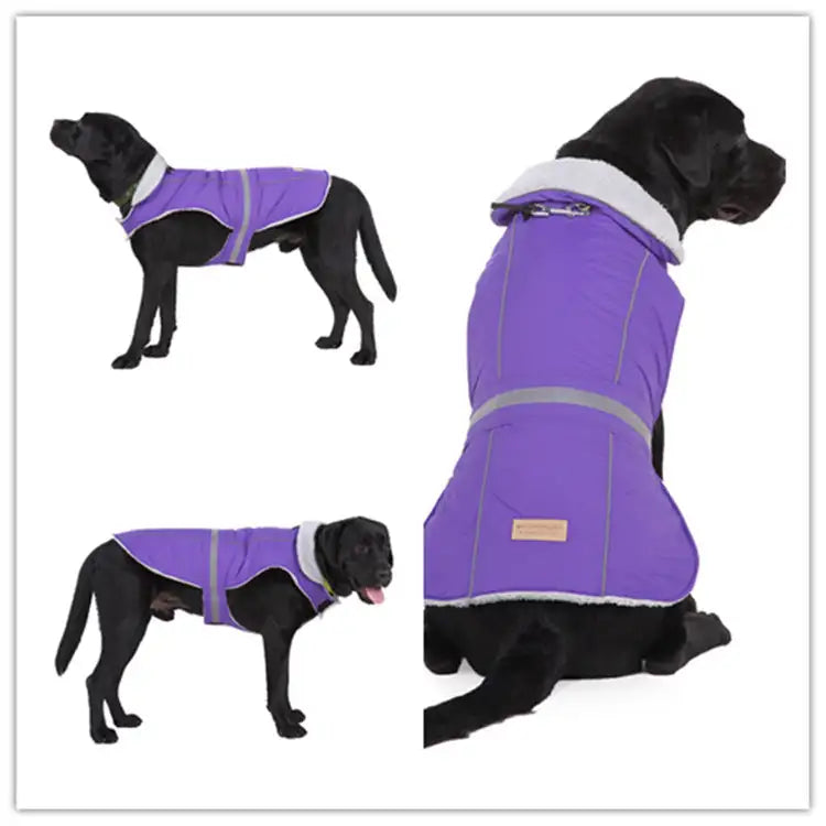 Pet clothes winter clothes night reflective pet clothes - Lootquake