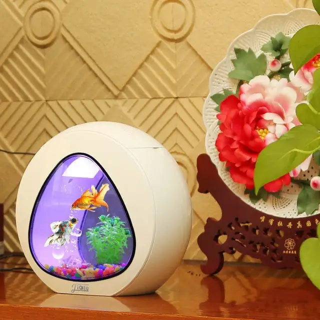 Desktop fish tank aquarium - Lootquake