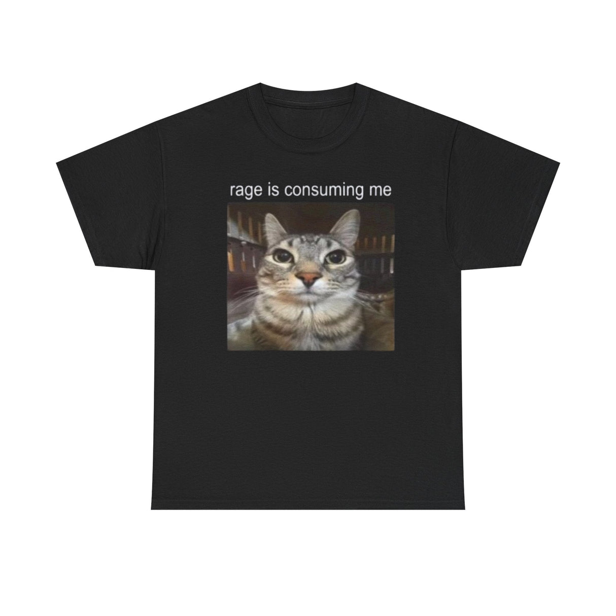 Camiseta divertida con meme de gato "Rage Is Consumption Me" (La ira me consume): divertida camiseta con gráfico de gato enojado para hombre y mujer