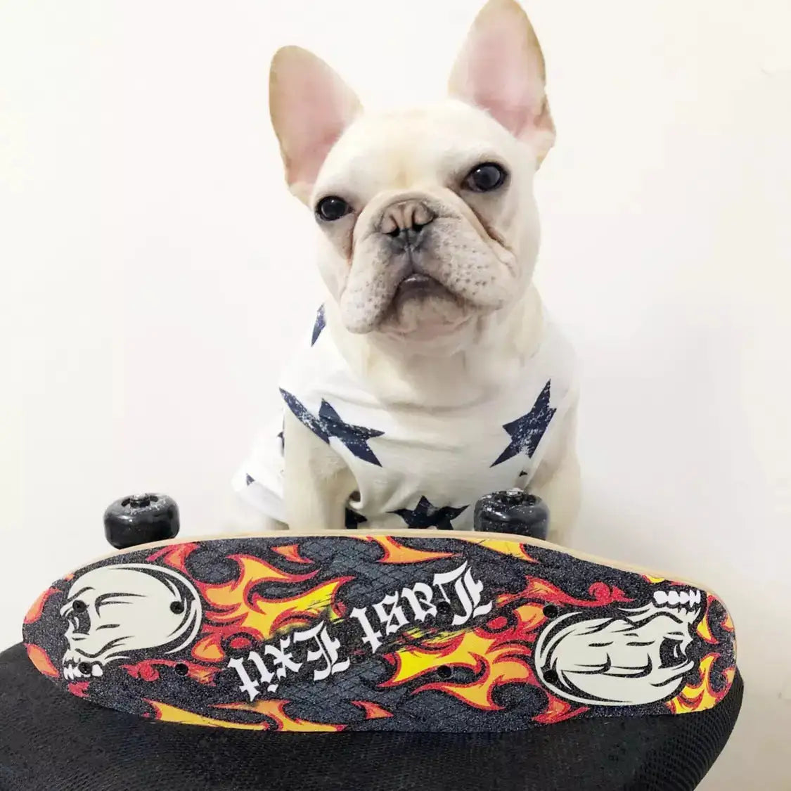 Pet Clothes Dog Clothes Pet Dog Clothes - Lootquake