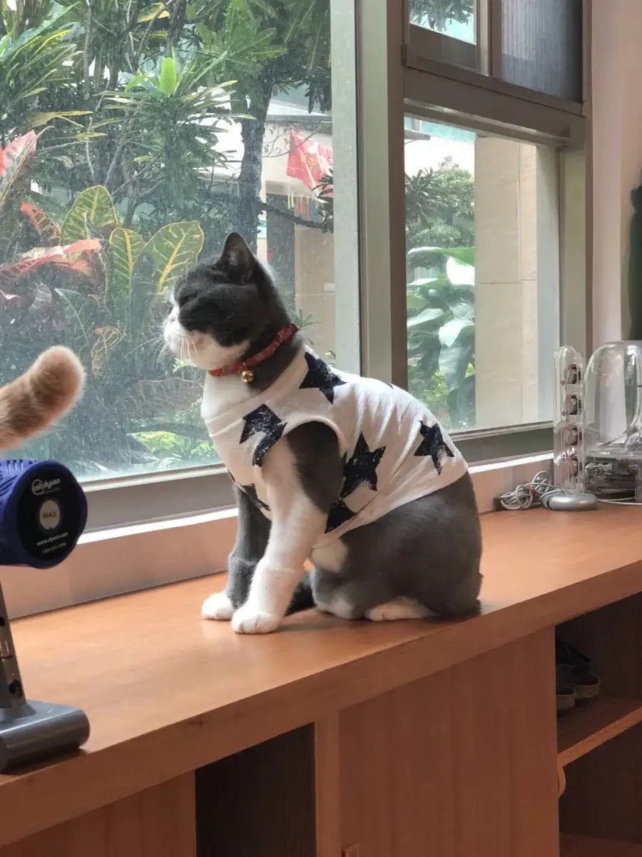 Pet Clothes Dog Clothes Pet Dog Clothes - Lootquake