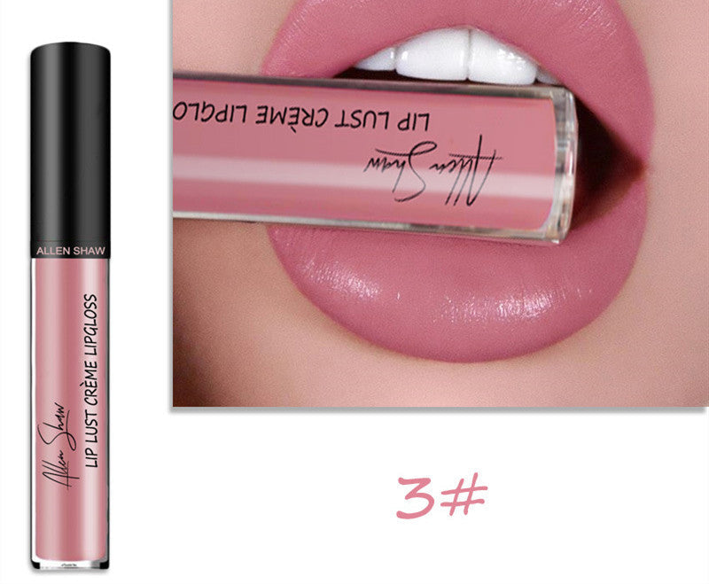 Silky Cream Lip Gloss Aliexpress Shopee Exclusive