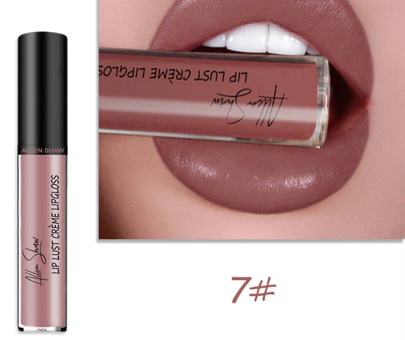 Silky Cream Lip Gloss Aliexpress Shopee Exclusive