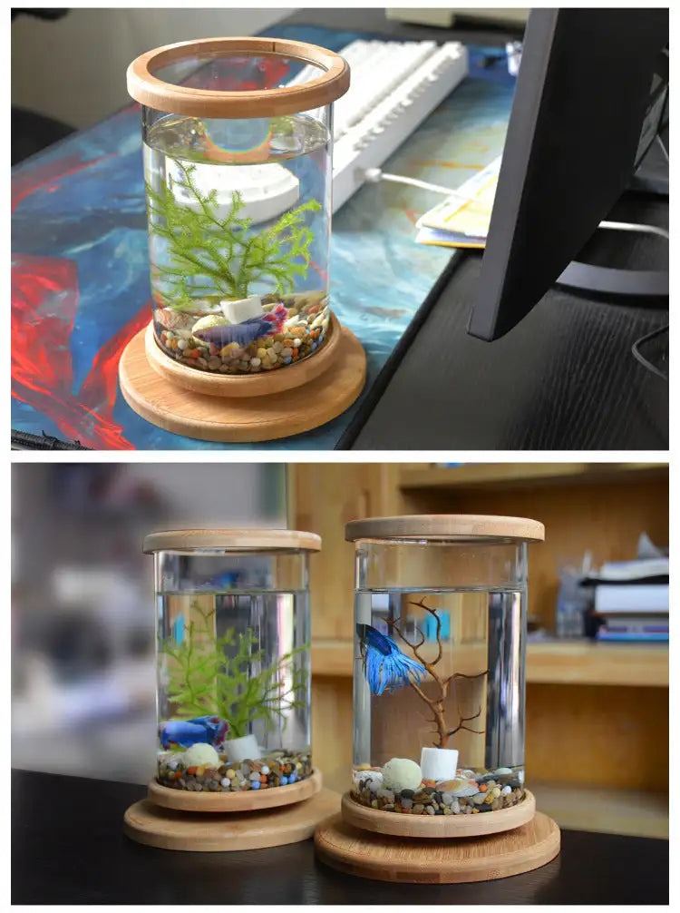 Small Office Glass Aquarium Bamboo Base Mini Fish Tank Decoration Fish Bowl - Lootquake