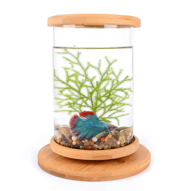 Small Office Glass Aquarium Bamboo Base Mini Fish Tank Decoration Fish Bowl - Lootquake
