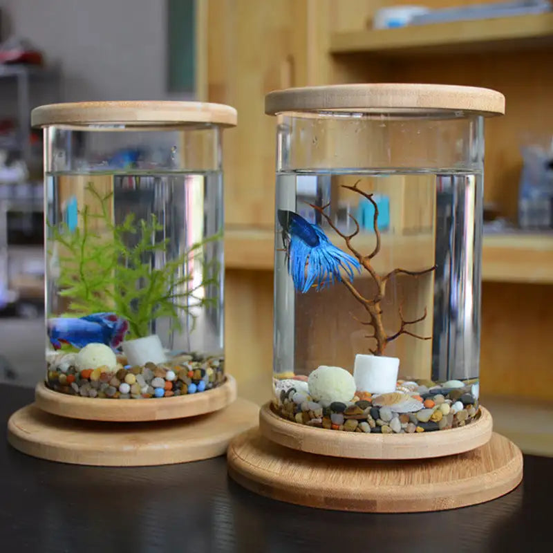 Small Office Glass Aquarium Bamboo Base Mini Fish Tank Decoration Fish Bowl - Lootquake