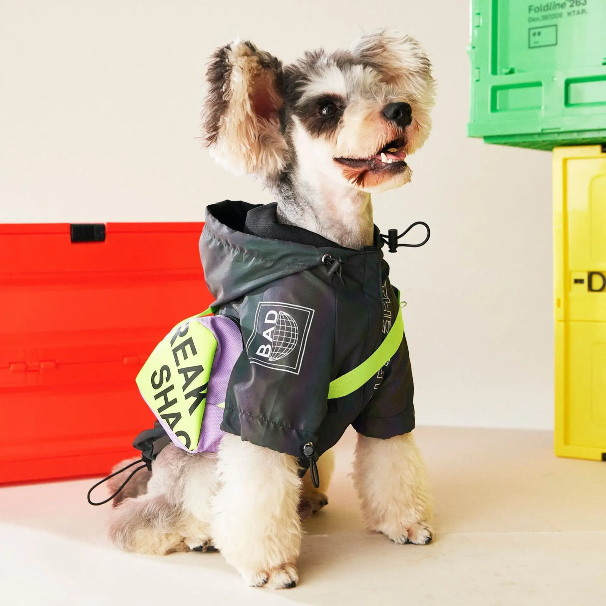 Dog Clothes Autumn Clothes - Lootquake