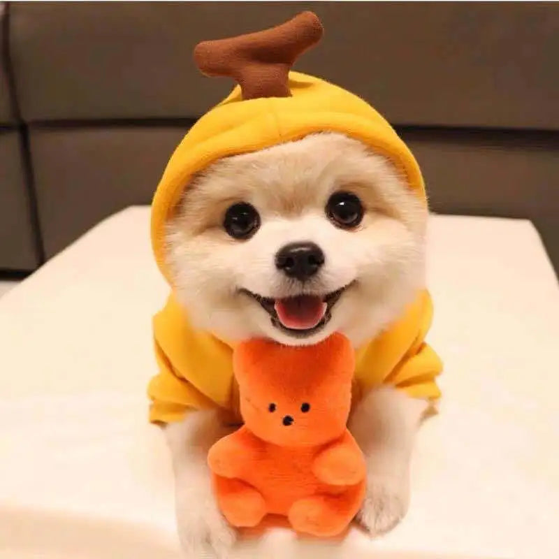 Cute Fruit Dog Clothes For Small Dogs Hoodies Winter Warm Fleece Pet Clothing Puppy Cat Costume Coat For French Chihuahua Outfit - Lootquake