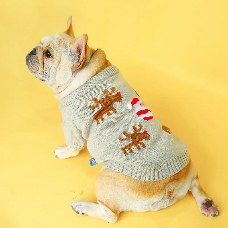 Pet christmas sweater - Lootquake