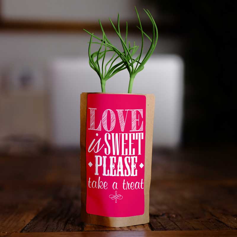 Love Is Sweet Take a Treat-0