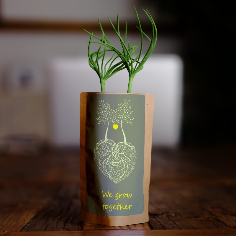 Plant 10 Trees for Our Journey – “Roots of Love”