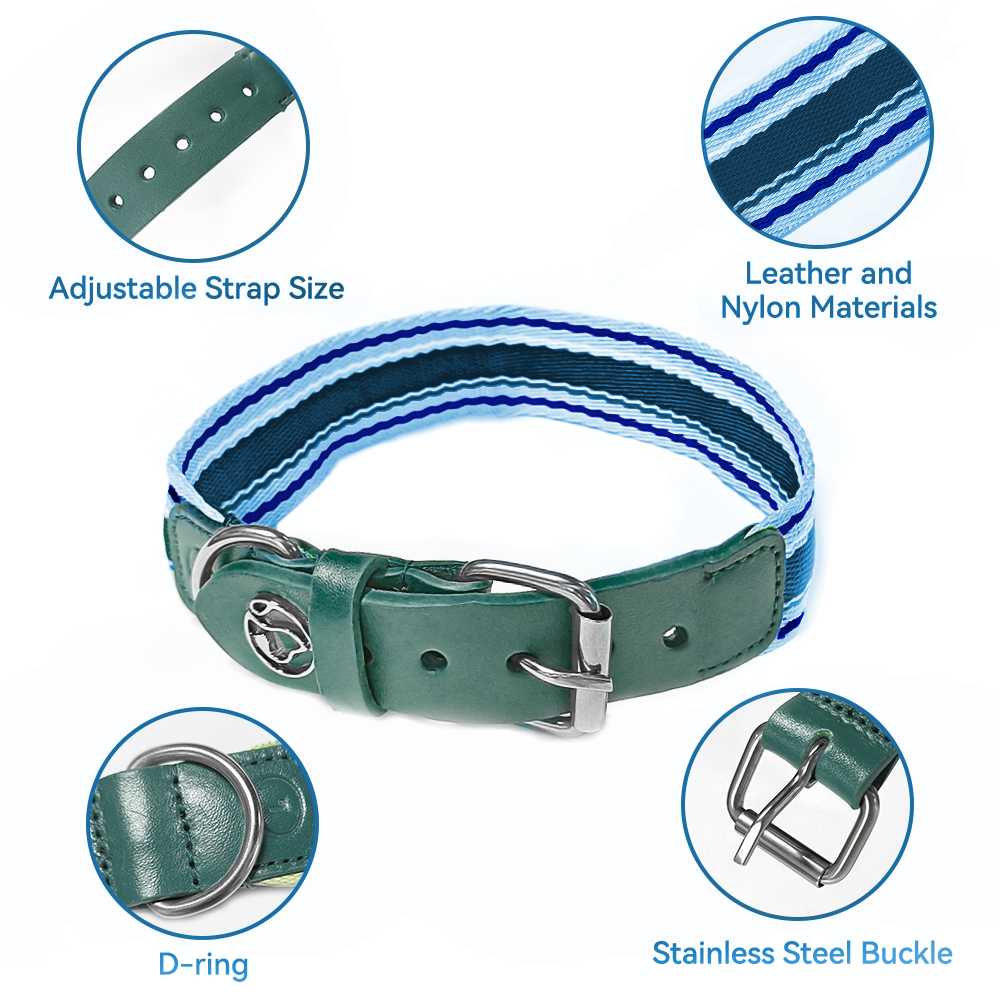 Adjustable Dog Collar and Leash Set - Perfect Fit for All Breeds