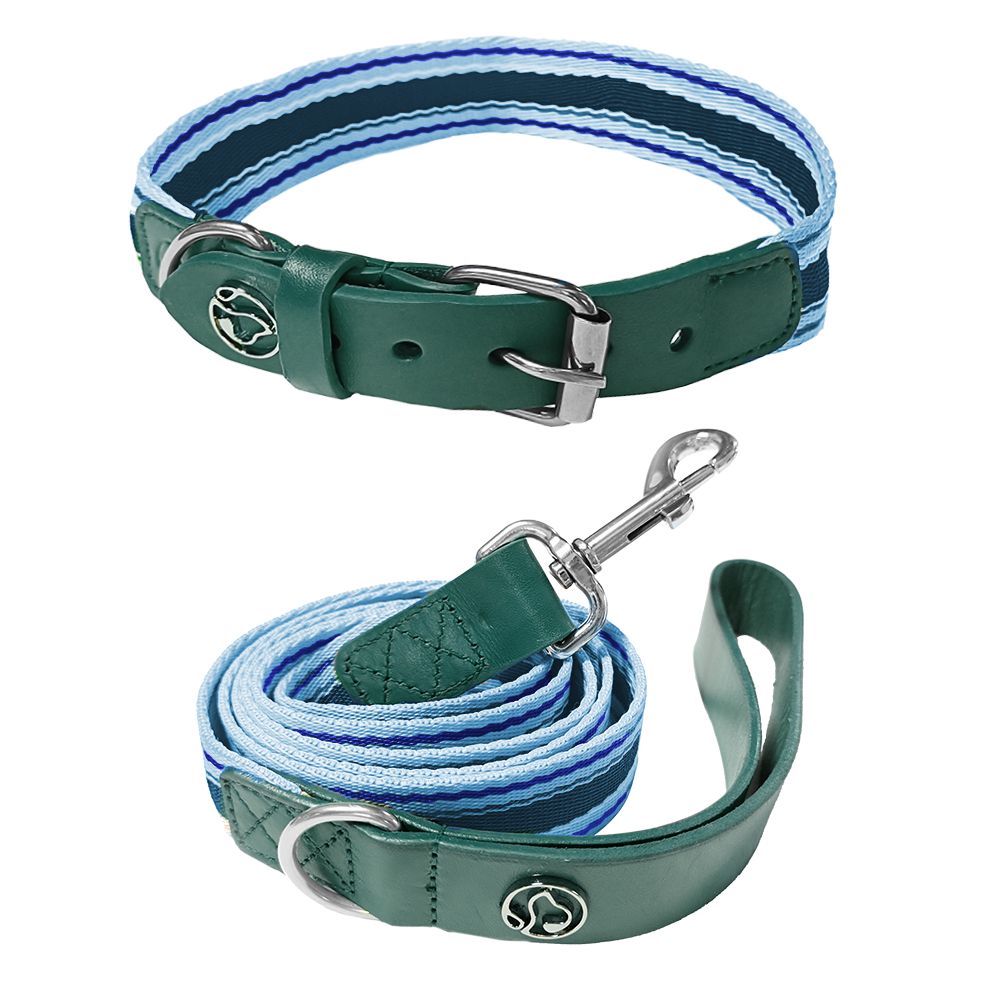 Adjustable Dog Collar and Leash Set - Perfect Fit for All Breeds