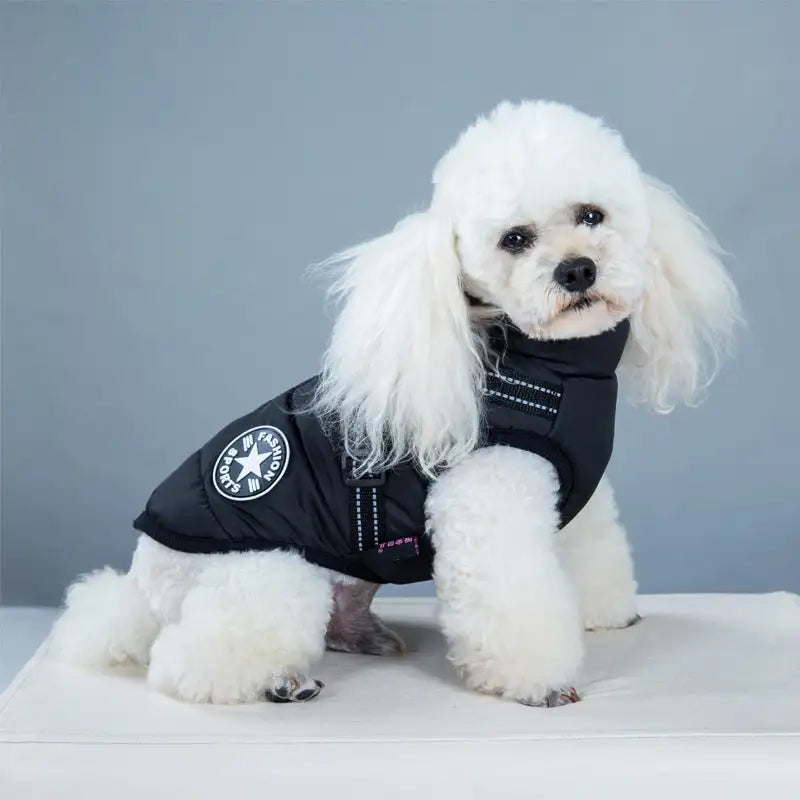 Waterproof Dog Clothes Winter Dog Coat With Harness Warm Pet Clothing Big Dog Jacket Chihuahua Labrador Coat Costume - Lootquake