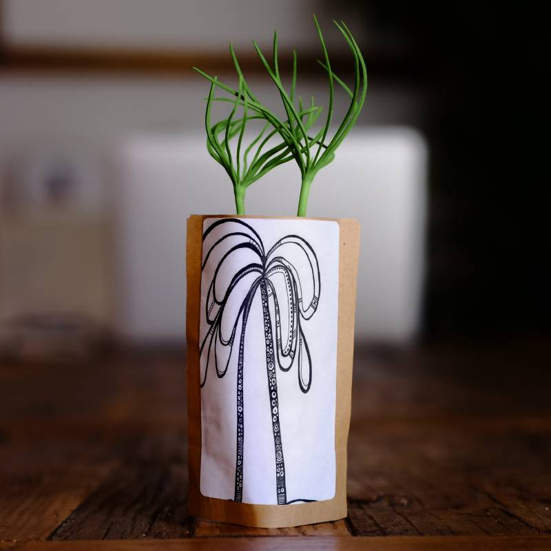 Aboriginal Birthing Tree by N'dene-0