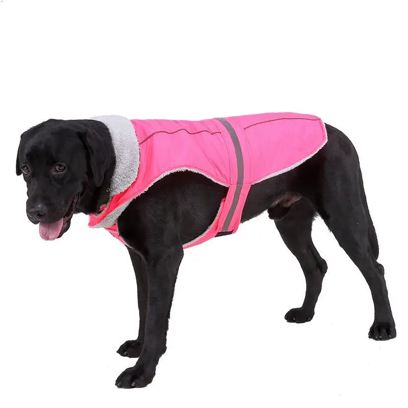 Pet clothes winter clothes night reflective pet clothes - Lootquake