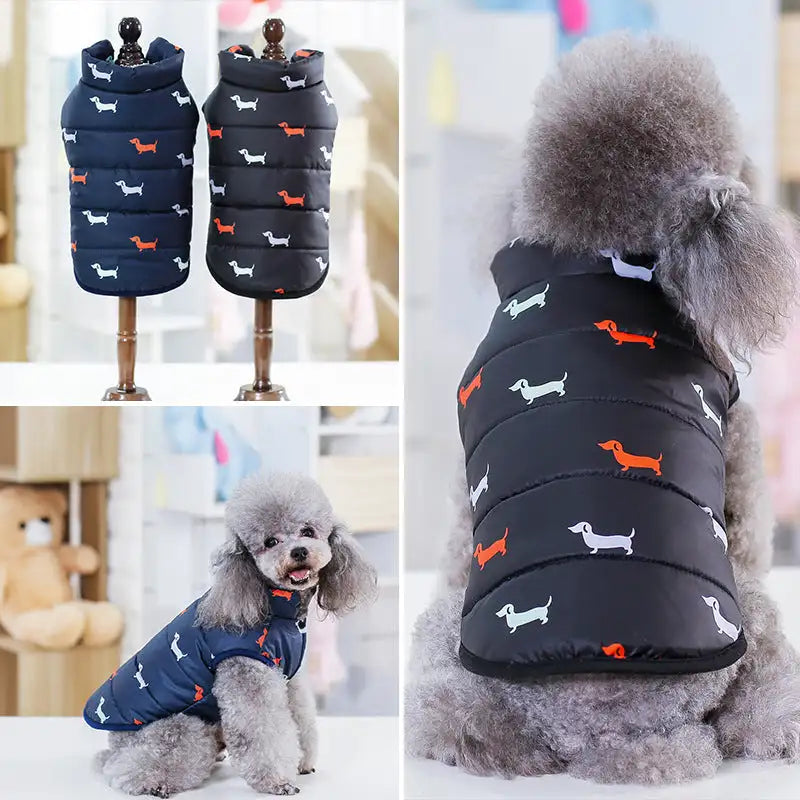 Pet supplies dog clothes - Lootquake