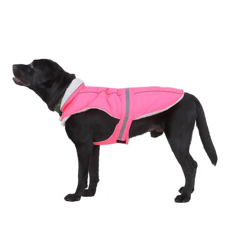 Pet clothes winter clothes night reflective pet clothes - Lootquake