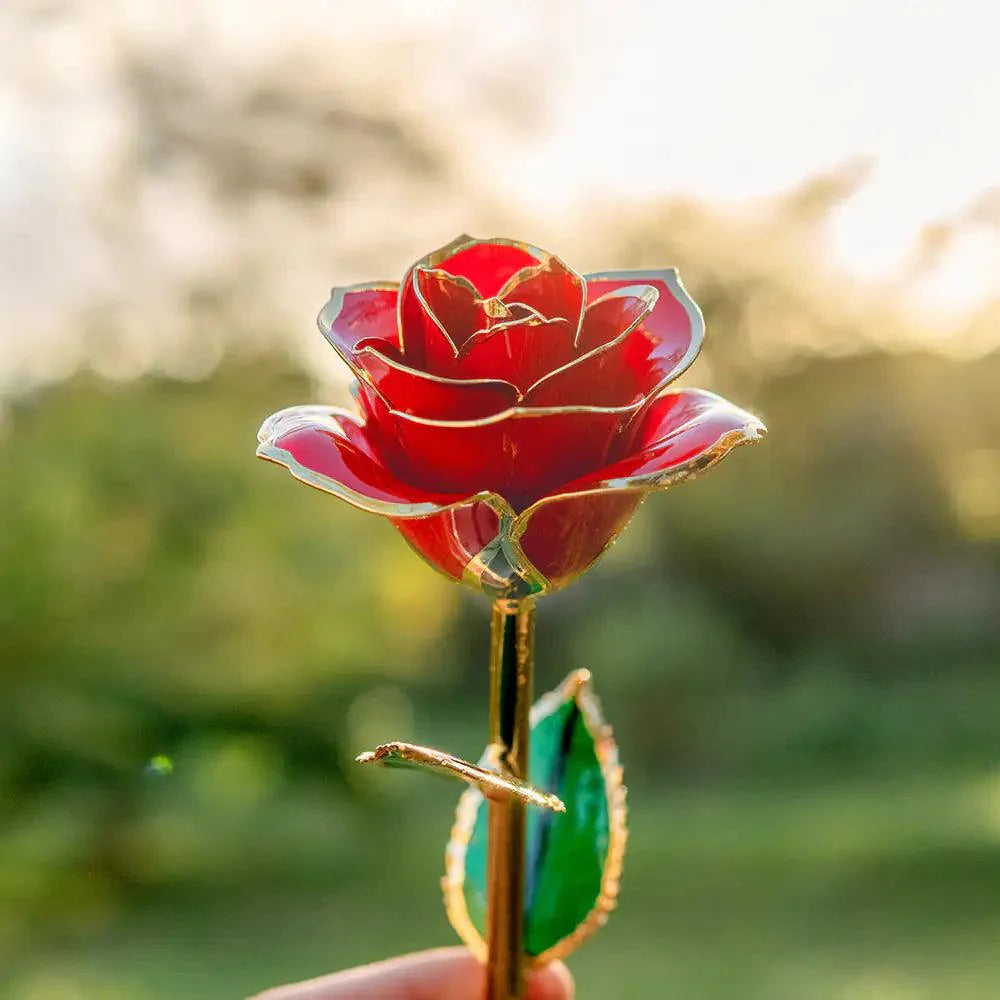 24K Gold Plated Rose Gift