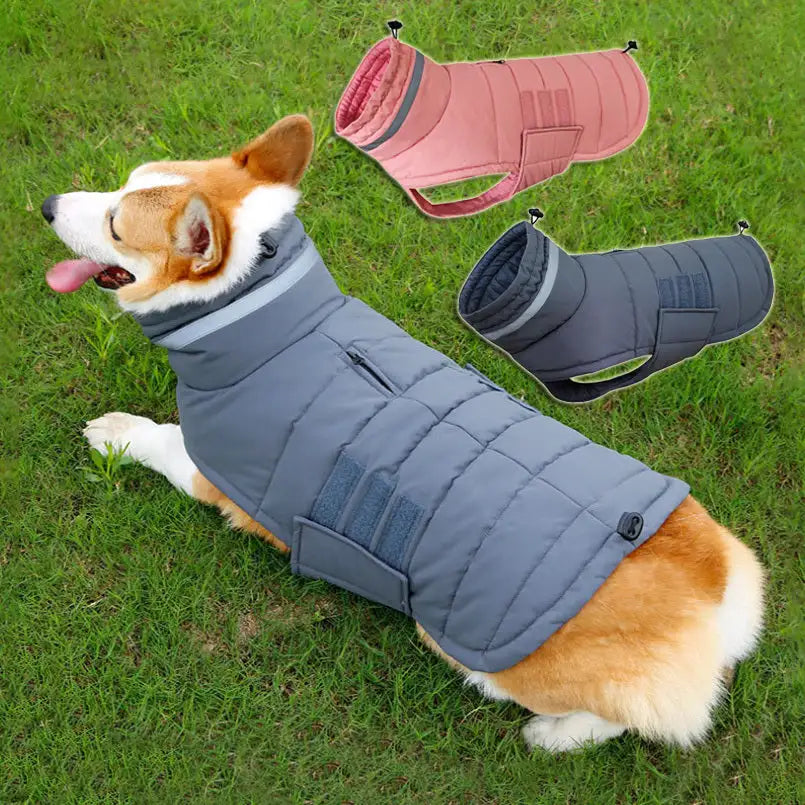 New Winter Dog Coat Waterproof Pet Clothes For Medum Large Dogs Warm Thicken Dog Vest Custome Labrador Jacket - Lootquake