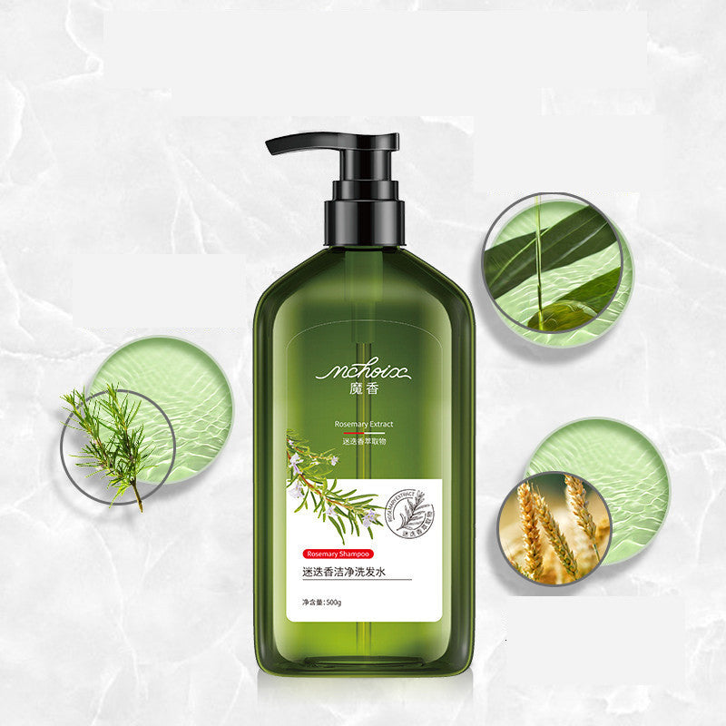 Rosemary Shampoo Body Wash For Hair Care, Refreshing And Oil Control - Lootquake