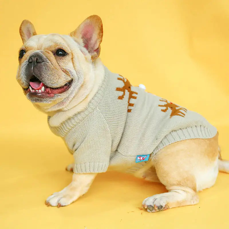 Pet christmas sweater - Lootquake