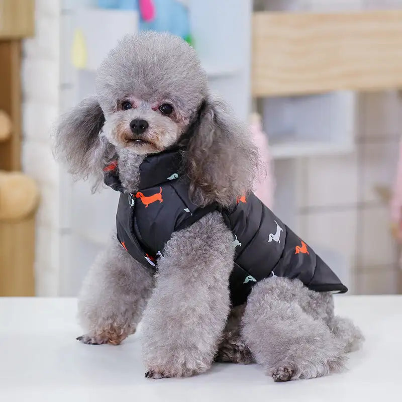 Pet supplies dog clothes - Lootquake