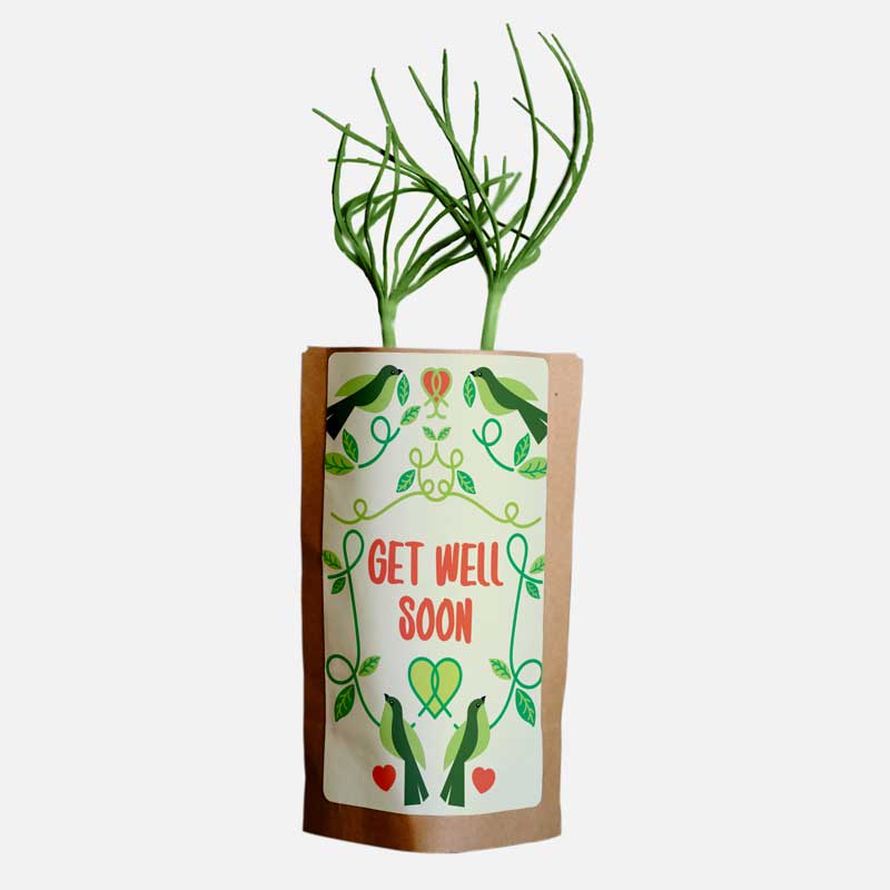 Get Well Soon Encouragement