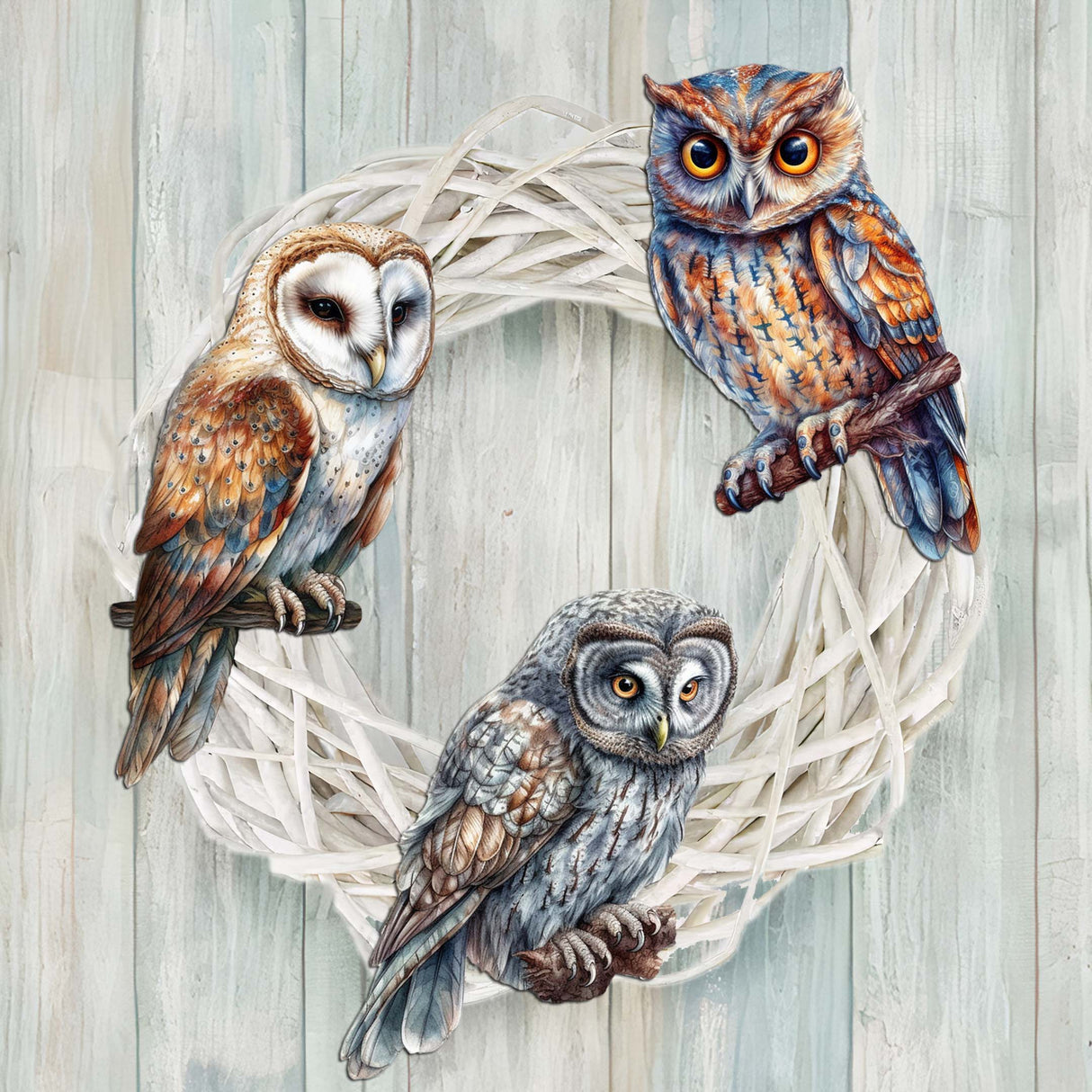 Night Owls Decorative Wooden Clip-on Ornaments Set of 3 by G. Debrekht - Wildlife Decor - 8091004C-S3