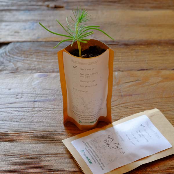 Happy Valentine's Day Tree Pouch