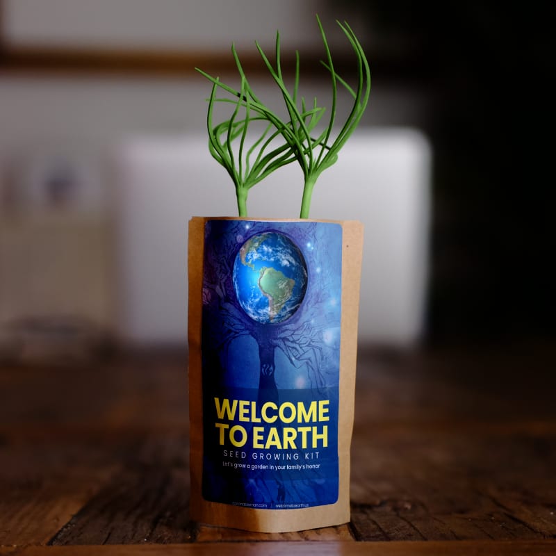 Bienvenido a Earth Tree Pouch de Aaron Ableman