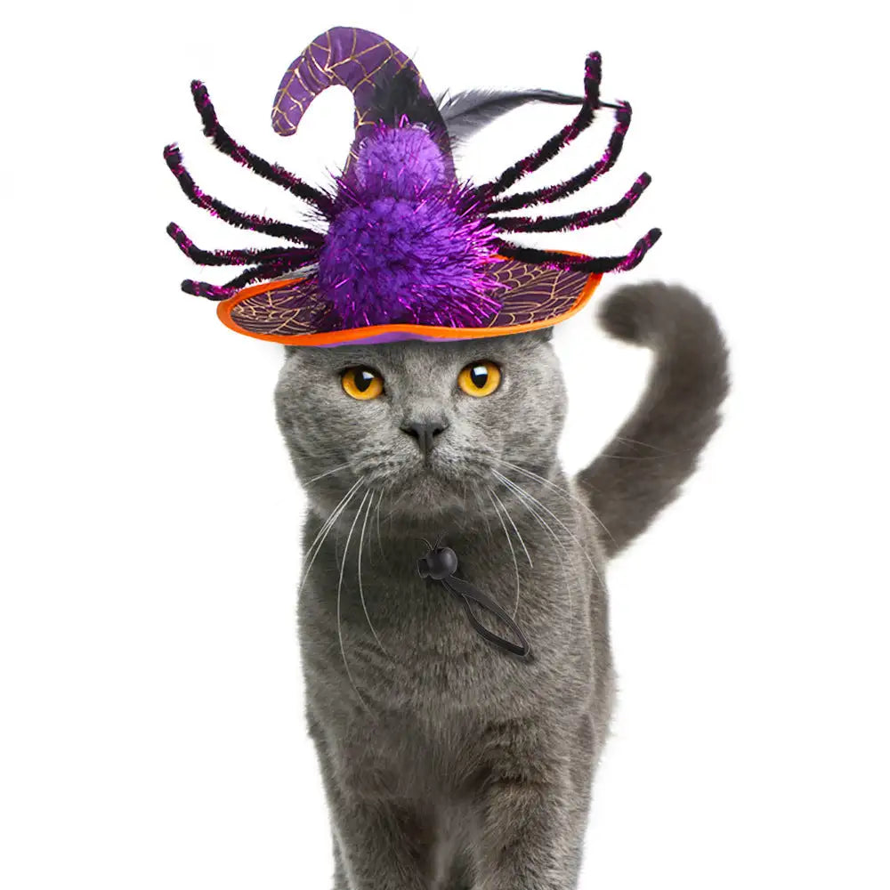 Pet Funny Headdress Cat Halloween - Lootquake