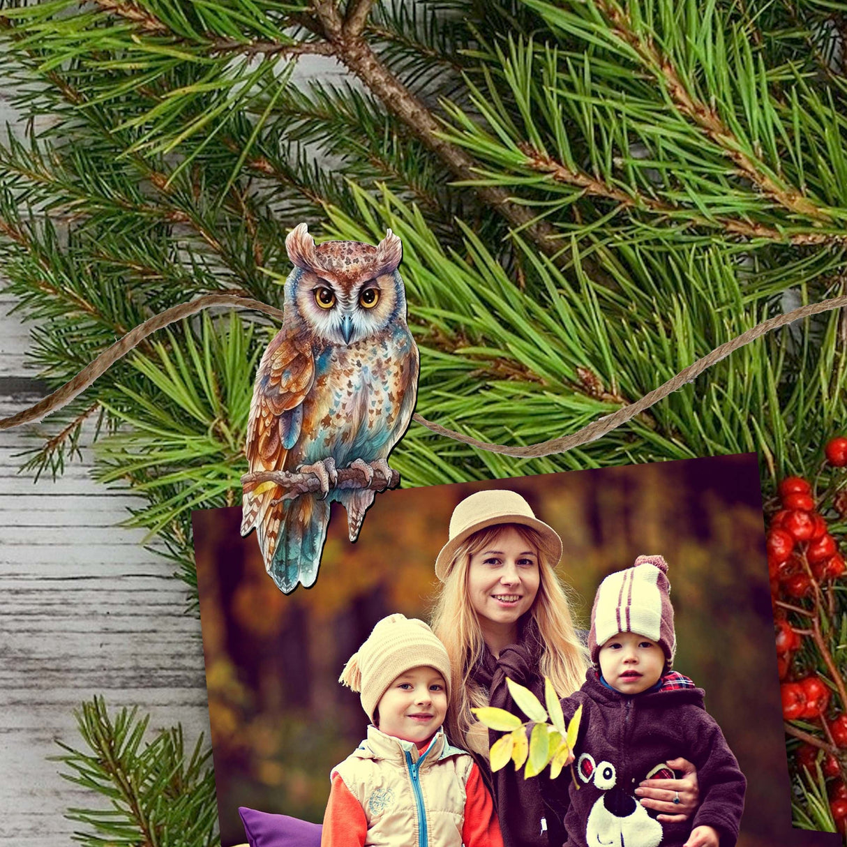 Night Owls Decorative Wooden Clip-on Ornaments of 6 by G. Debrekht - Christmas Decor - 8090004C-S6