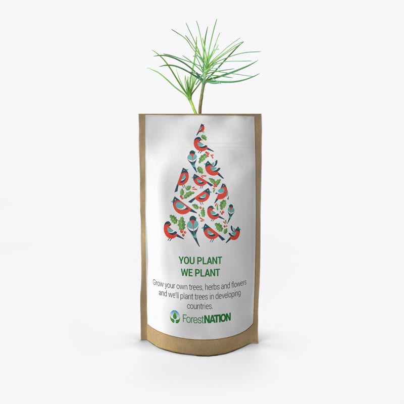 Season's Greetings Birdy Tree Growing Kit-0