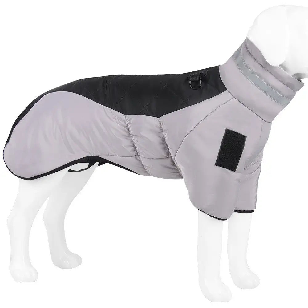 New Pet Dog Clothes Thickened With Reflective Warmth Pet Supplies - Lootquake