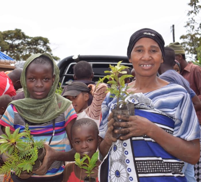 Pack of 50 Tree Kit Cups, We Plant 500 More Trees