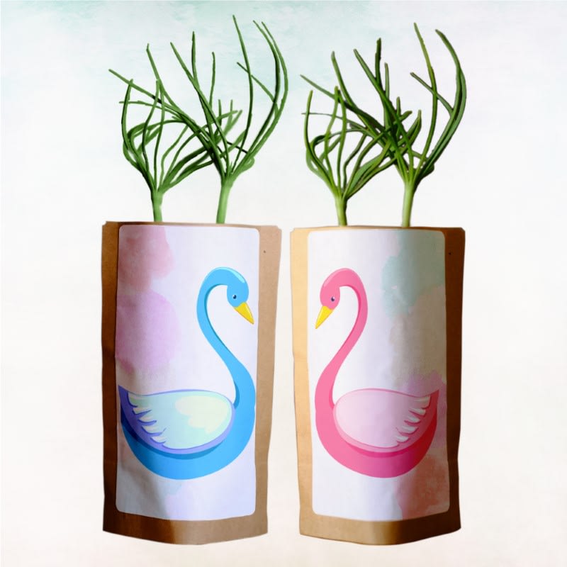 Gift Us a Forest – 200 Trees to Celebrate Our Love – “Swan Love”