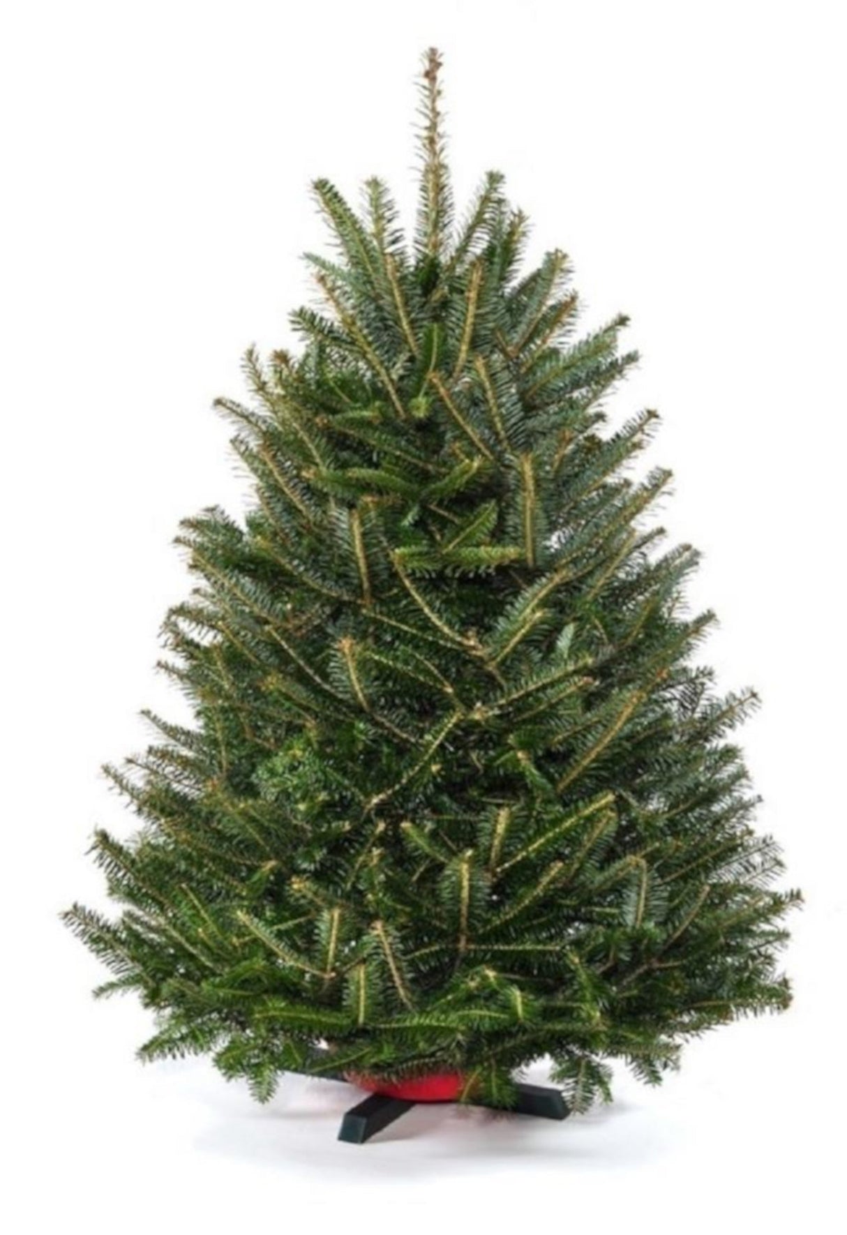 Real Christmas Trees Delivered 3 Foot Balsam Fir Tabletop Christmas Tree
