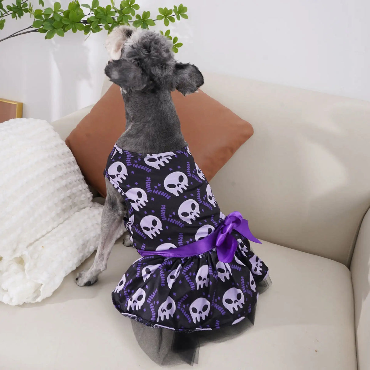 Pet Dog Clothes Halloween Clothes Halloween - Lootquake