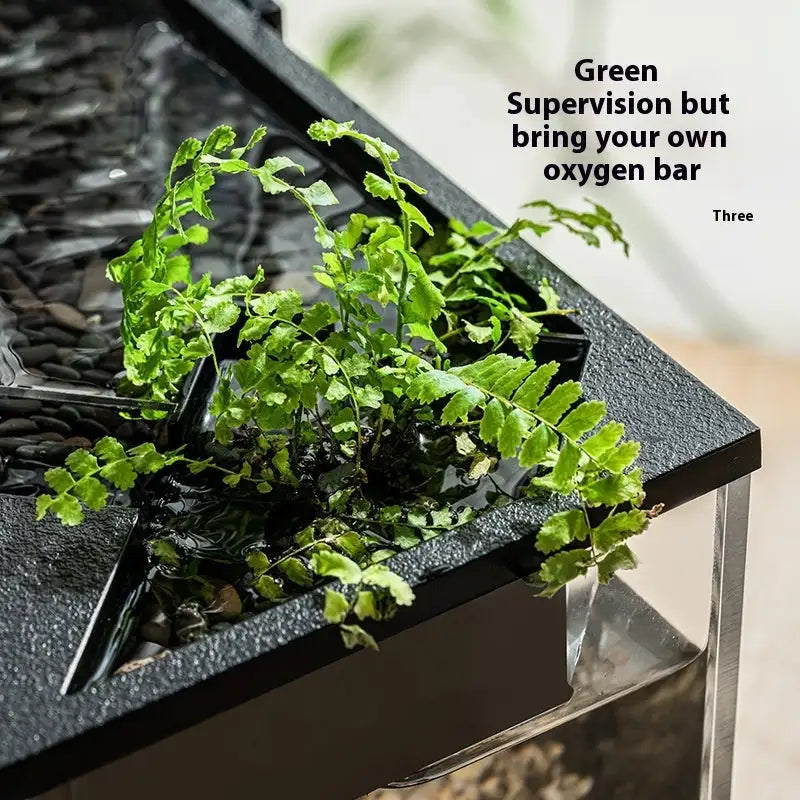 Acrylic Filter Circularly Heating Lighting Integrated Lazy Aquarium - Lootquake