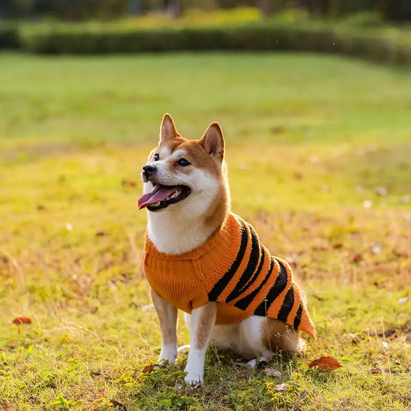 Halloween Dog Sweaters Pet Costume Teddy Warm Leisure Sweater Cosplay Clothes For Dogs Pets Outfits - Lootquake