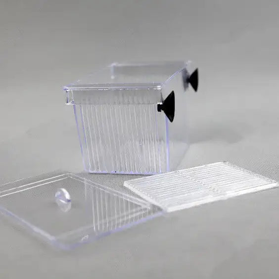 Acrylic Aquarium Fish Tank Incubation Box - Lootquake