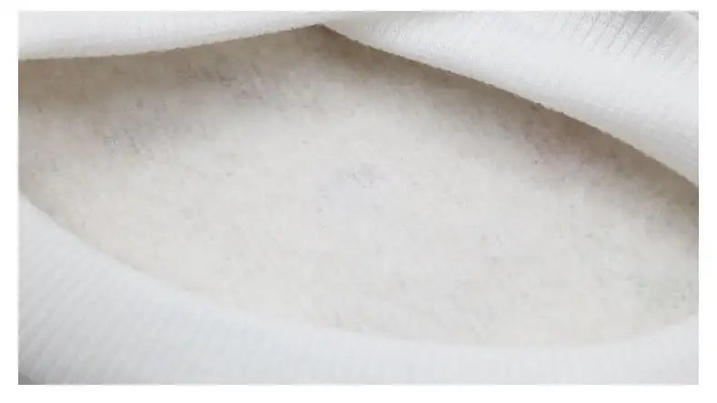 Pet clothes - Lootquake