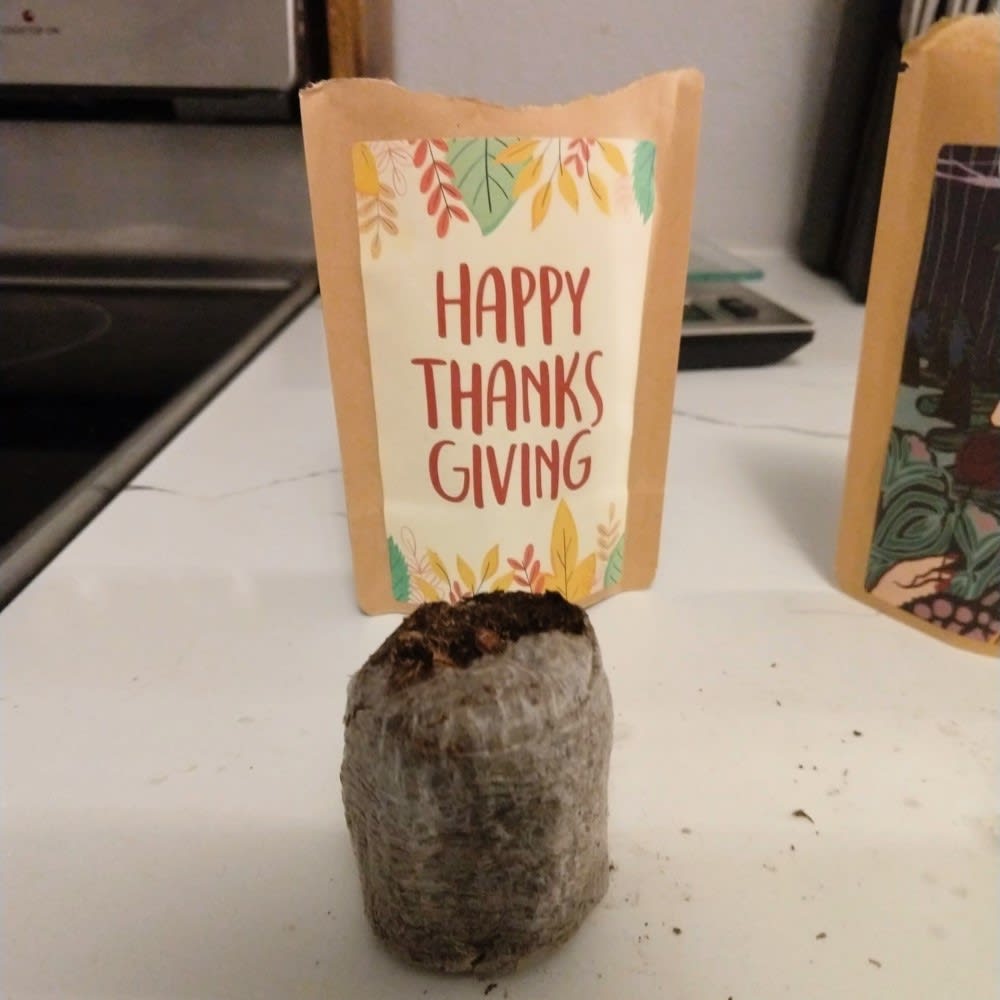 Feliz saludo de Acción de Gracias