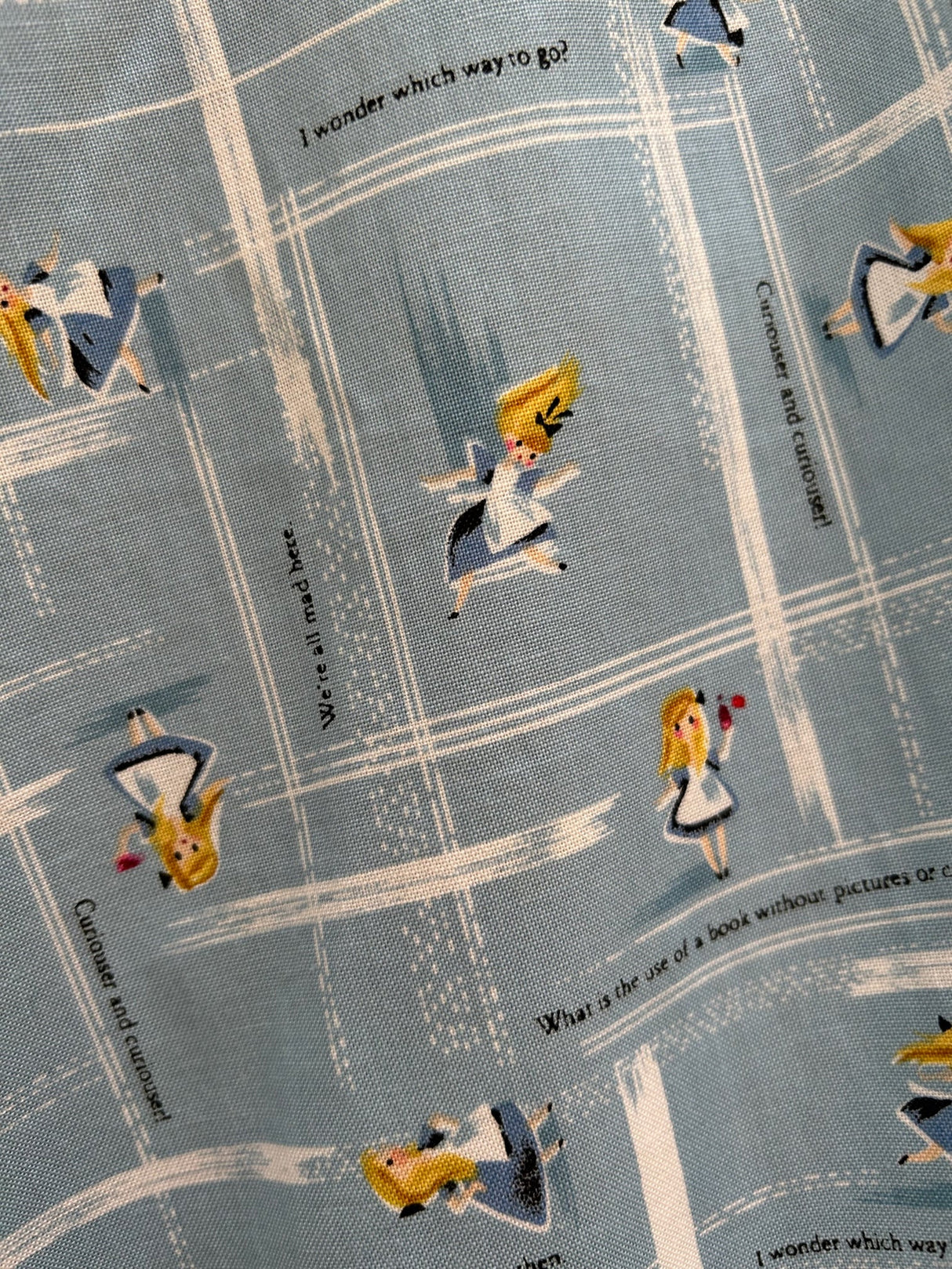 Falda patinadora Wonderland