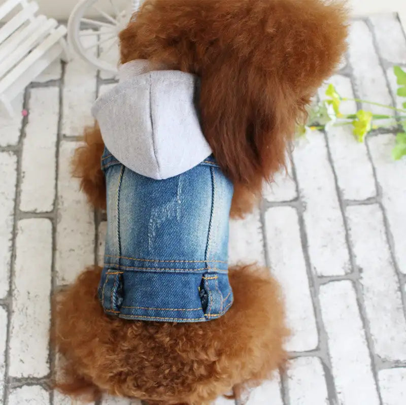 Designer Dog Clothes Small Dog Denim Jacket Coat Cat Costume Puppy Jeans Vest Spring Clothing - Lootquake